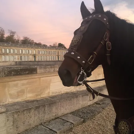 Hotel Du Jeu De Paume Chantilly